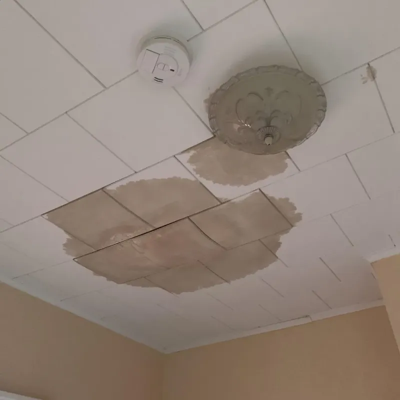 Ceiling Water Damage Repair in Bossier Parish, LA