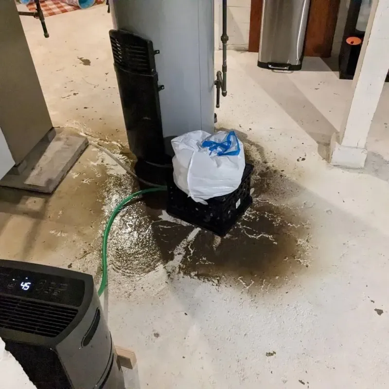 Sewage Backup Cleanup Service in Bossier Parish, LA